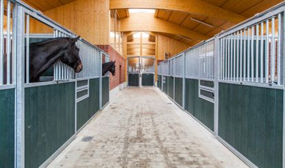 Impressions of the Nindorf Equine Hospital