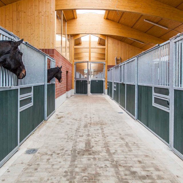 Impressions of the Nindorf Equine Hospital