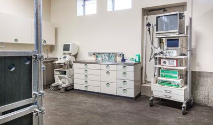 Impressions of the Nindorf Equine Hospital