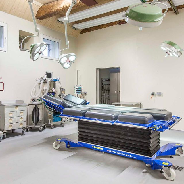 Impressions of the Nindorf Equine Hospital