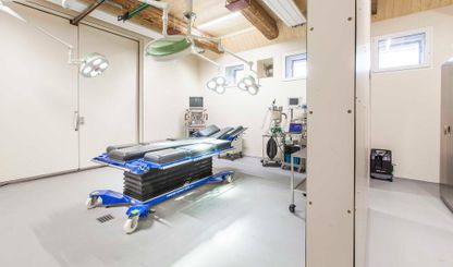 Impressions of the Nindorf Equine Hospital