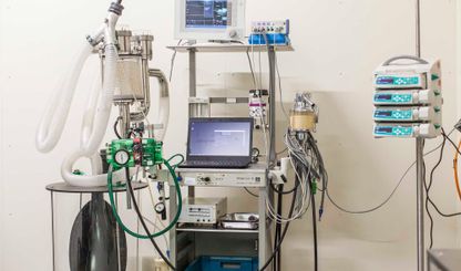 Impressions of the Nindorf Equine Hospital